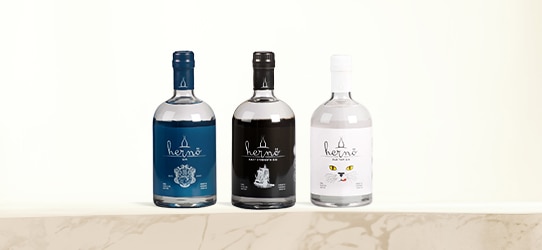 Gin