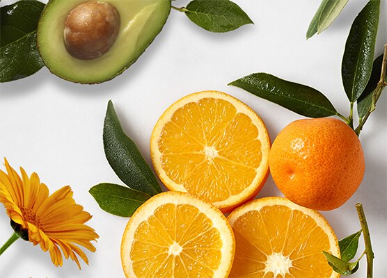 fruits